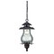 Homeroots 16.5 x 8 x 8 in. Blue Ridge 1-Light Architectural Bronze Hanging Light 398024 - alternate 4